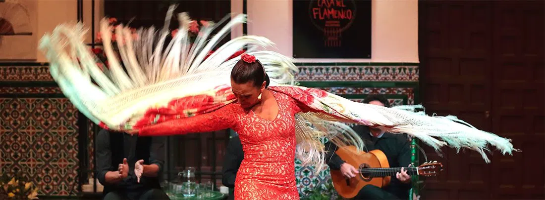 La Casa del Flamenco – Auditorio Alcántara, Seville