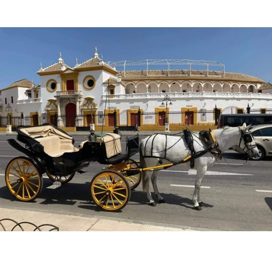 Licensierade hästskjutsar (coches de caballos), Sevilla
