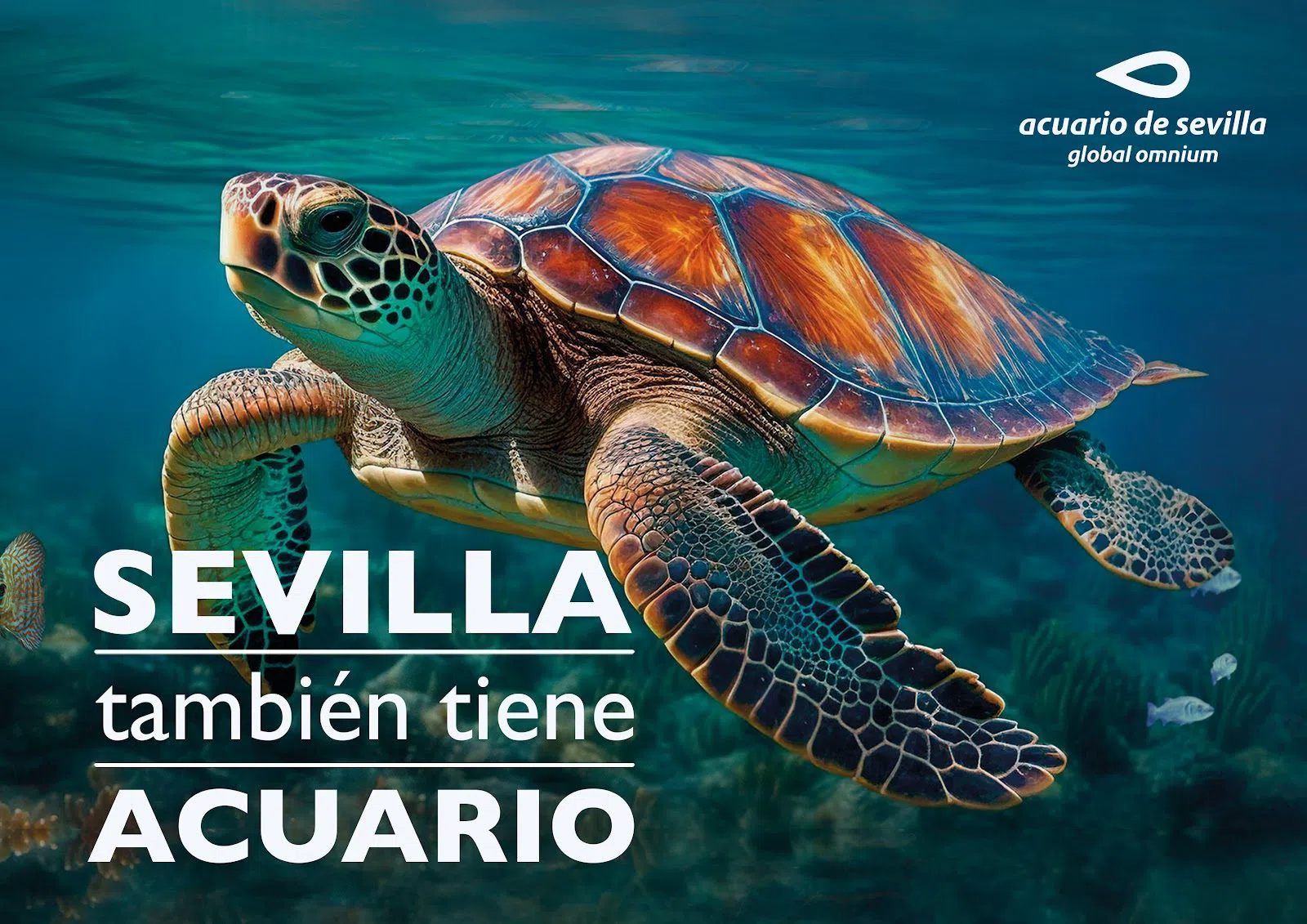 Acuario de Sevilla, Seville